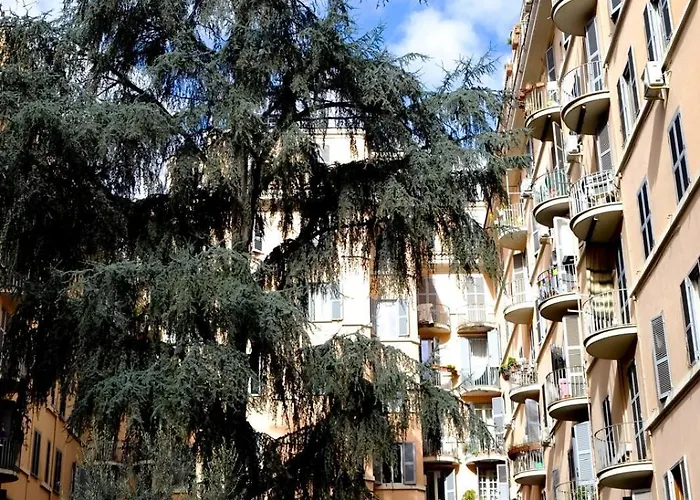 Nest